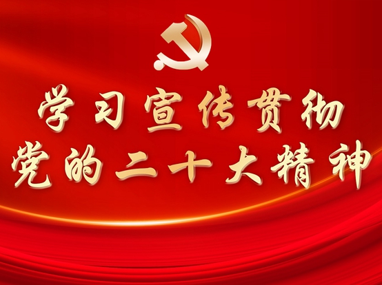 学习宣传贯彻党的二十大精神